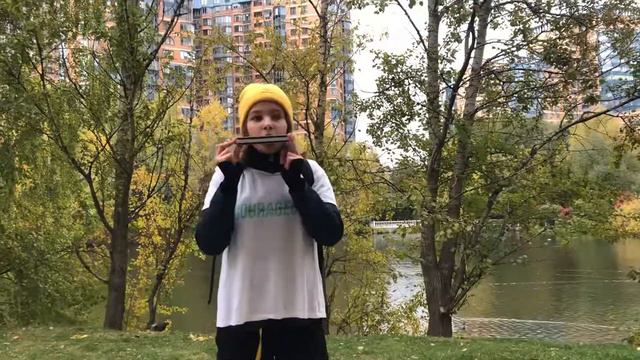 Кавер на песню bad guy на гармошке Живой кавер bad guy смотреть онлайн