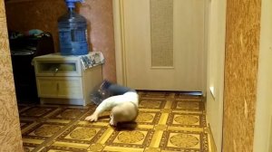 Малыш упал и уполз в закат
