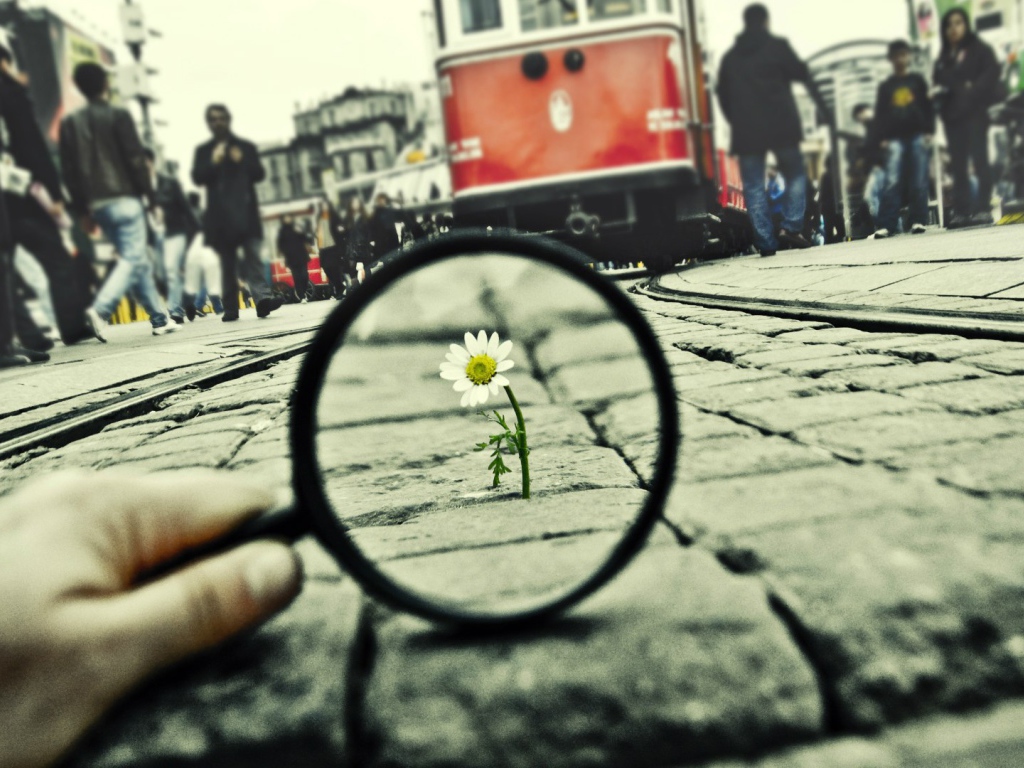 Границы иллюзии и реальности. Олег Бахтияров