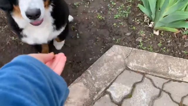 Миня. Клип на песню Клавы Коки-"покинула чат" смотреть онлайн