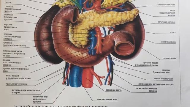 Вечерницы ??? смотреть онлайн