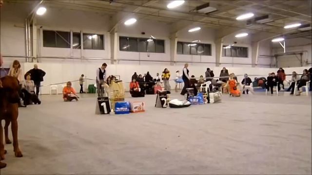 Главный бэст Белый Барс смотреть онлайн