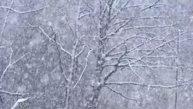 5 true scary Christmas stories смотреть онлайн