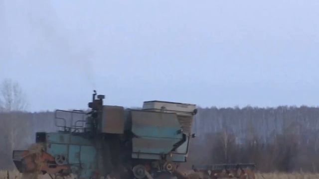 Енисей 1200 убирает овес - комбайнер 86 уровня :) смотреть онлайн