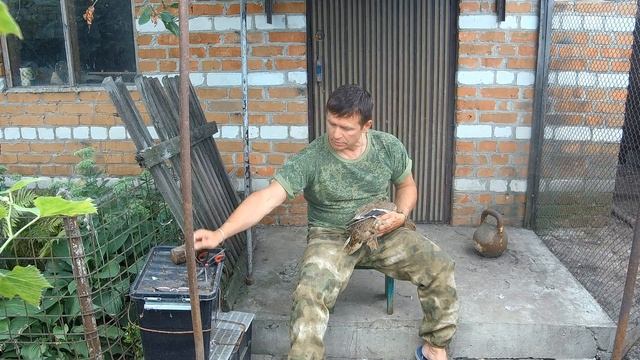 Подготовка подсадных уток к охоте смотреть онлайн