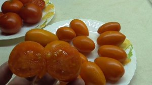 ТОМАТ ЗОЛОТОЕ РУНО. №299. ДЕГУСТАЦИЯ. Ольга Чернова.