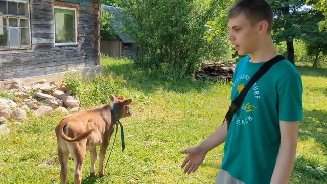 БУДЕТ ли в 2023 году СЕНО? ПРОБЛЕМЫ с заготовкой... смотреть онлайн