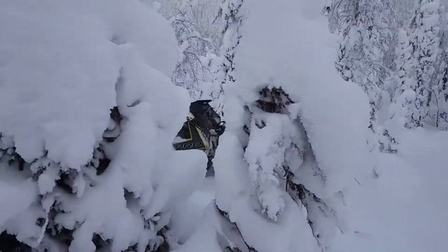 Кваркуш Сезон 2019 Часть 7 смотреть онлайн