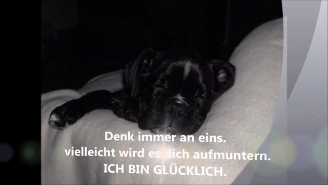 Anuschka von der Burg Sonnenberg R.I.P. смотреть онлайн