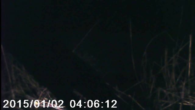 Ушли в кювет на скорости 150км/ч ,смотреть до конца) смотреть онлайн