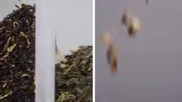 торговый автомат по приготовлению чая смотреть онлайн