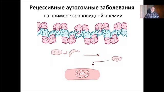 Лекция 8. Мутагенез (2021).