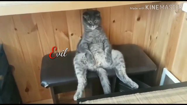 Человек в мире животных смотреть онлайн