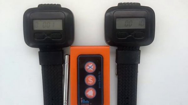 В чем отличие пейджеров iBells 201 и 203 при вызове с кнопки