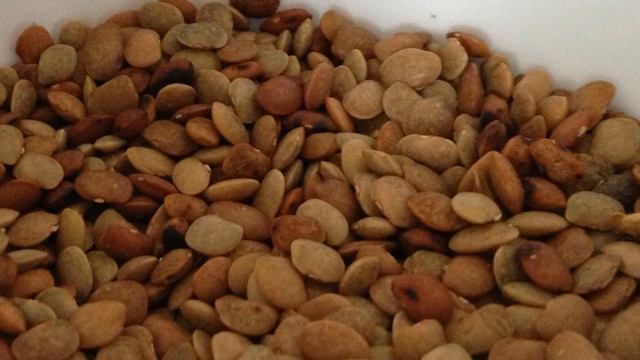 உடல் எடையை மிக வேகமாக குறைய செய்யும் கொள்ளு смотреть онлайн