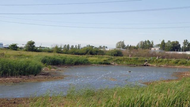 Где вода в Ленсанжелесе ? смотреть онлайн