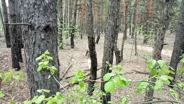 Тина Дуброва - Константин Симонов "Мальчишка на лафете" смотреть онлайн