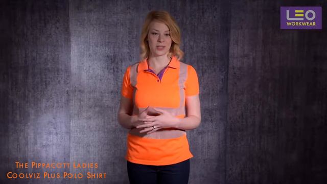 Pippacott Ladies Coolviz Plus Polo Shirt смотреть онлайн