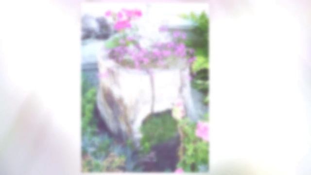 Идея Для Дачи ► Цветущая клумба из бревна смотреть онлайн