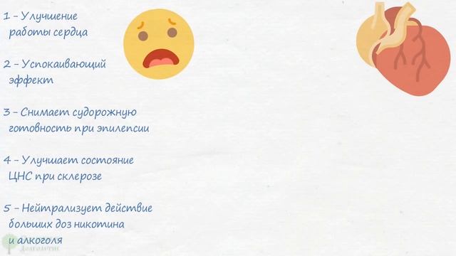 Ношу всегда с собой! 10 применений пустырника, о которых не пишут в инструкции смотреть онлайн