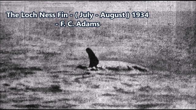Was The Loch Ness Monster A Whale ? смотреть онлайн