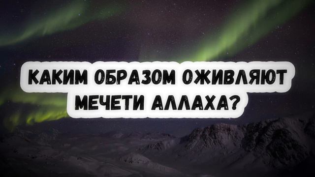 Оживление мечетей Сирадж Абу Тольха