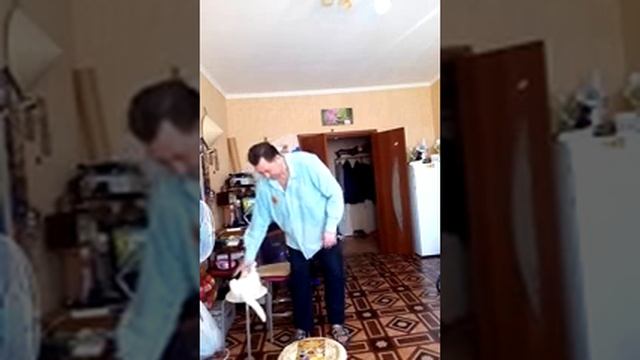 Динамическая медитация Коронации смотреть онлайн