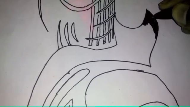 Guitar tattoo hand drawing || j.k arts studio || смотреть онлайн