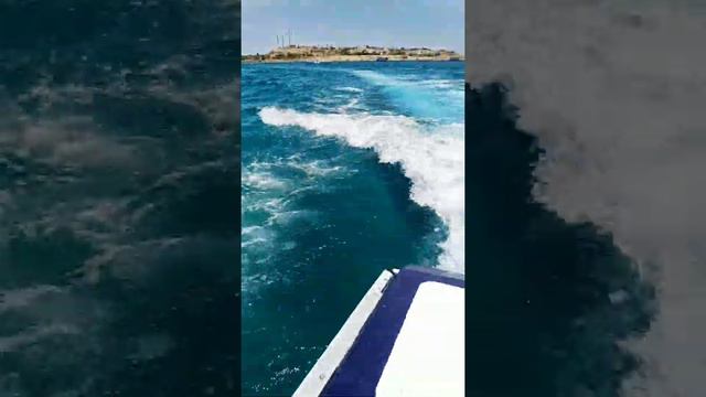 Моя поездка в ЕГИПЕТ 🇪🇬 ЧТО ЖЕ ТАМ ИНТЕРЕСНОГО? ЗАХОДИ здесь ТЕБЯ ЛЮБЯТ! смотреть онлайн