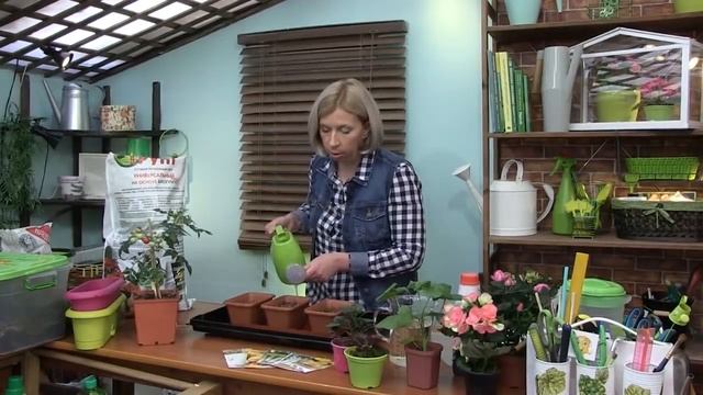 Как применять Эпин и Циркон? Посев перца, лука-порея, сельдерея. смотреть онлайн