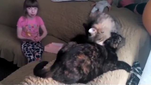 Щлололллллл смотреть онлайн