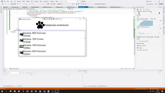 Вывод данных в ListView и DataGrid