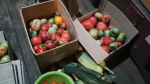 Мастера уборки и уюта