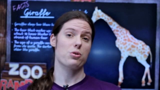 Zoo Rampage - Review смотреть онлайн