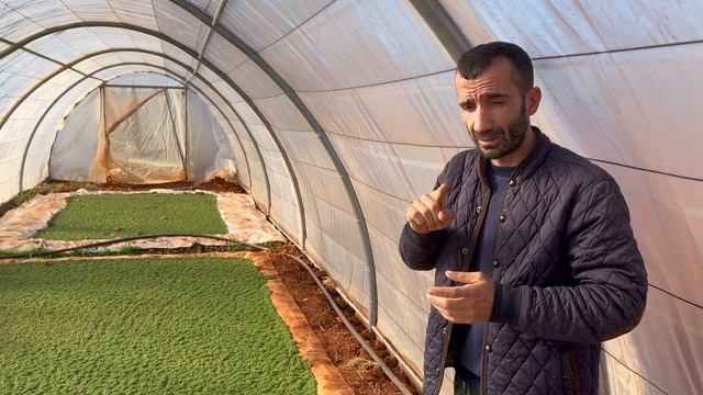 What is "Azolla"? смотреть онлайн