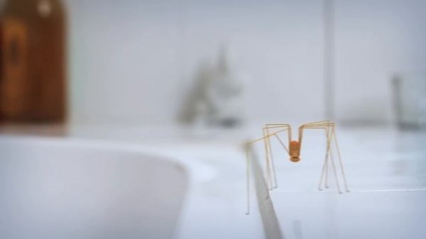 Minuscule - Brushing