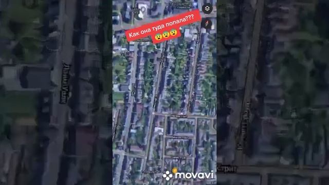 Акула решившая, что умеет летать смотреть онлайн