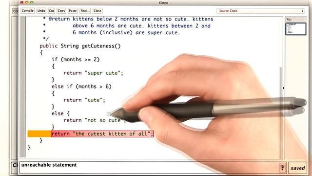 The Cutest Kitten - Intro to Java Programming смотреть онлайн
