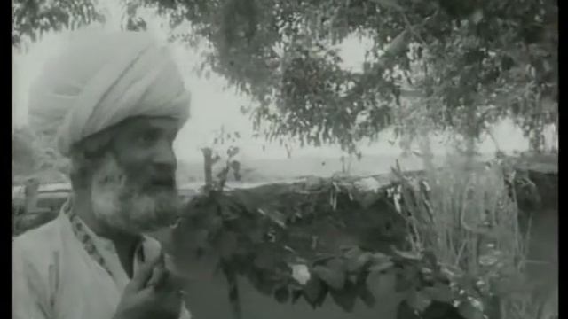 Bhuvan Shome | 1969 | Mrinal Sen | Uptal Dutt | Suhasini Mulay.mkv