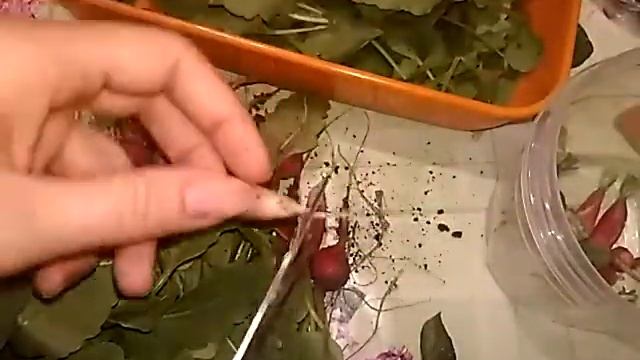 Строительные Совпадения