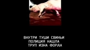 ANALOG HORROR - PIGS [RUS]