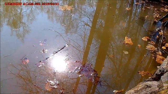 Нашествие лягушек на родник смотреть онлайн