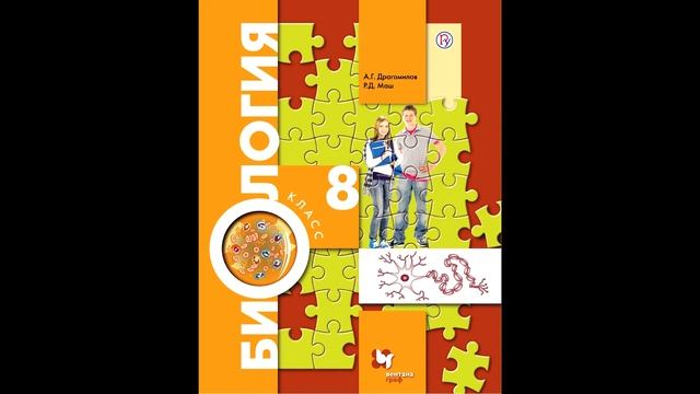 § 43 Обменные процессы в организме смотреть онлайн