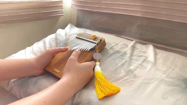 天官赐福 TGCF Donghua OST - One Flower One Sword (Kalimba Beginner) смотреть онлайн