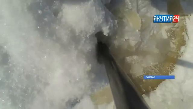 Сунтаарга иккис төгүлүн куйуур олоҥхотун тэрийдилэр смотреть онлайн