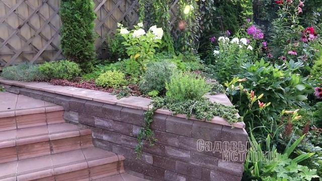 Обзор сада / декоративные перцы и томаты в контейнерах / цветение гортензий /что цветет в августе смотреть онлайн