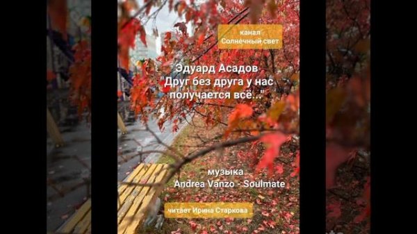 Э. Асадов "Друг без друга у нас получается всё". Andrea Vanzo - Soulmate. Читает Ирина Старкова.