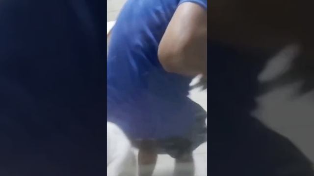VID-20231027-WA0012.mp4 смотреть онлайн