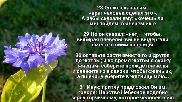 Притчи Иисуса. Мф.13 смотреть онлайн
