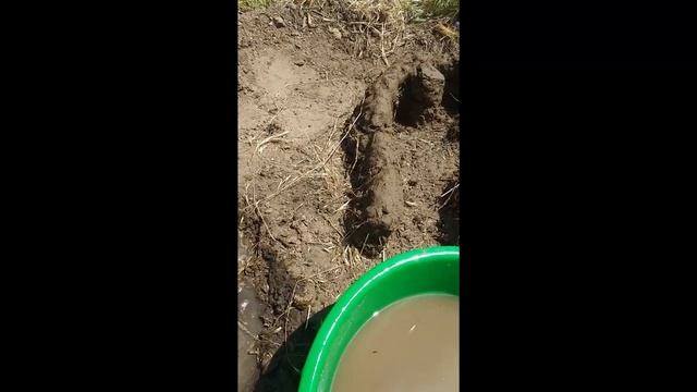 СВОИМИ РУКАМИ ПЕЧЬ ИЗ ГЛИНЫ смотреть онлайн